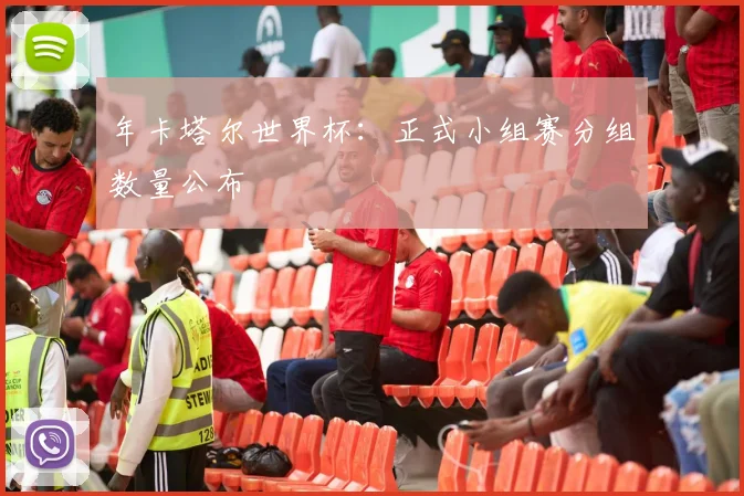 年卡塔尔世界杯:正式小组赛分组数量公布