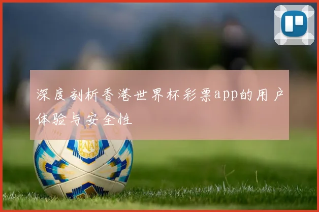 深度剖析香港世界杯彩票app的用户体验与安全性
