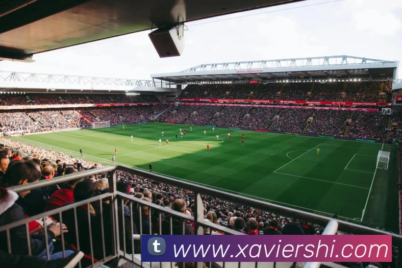 多媒体互动体验